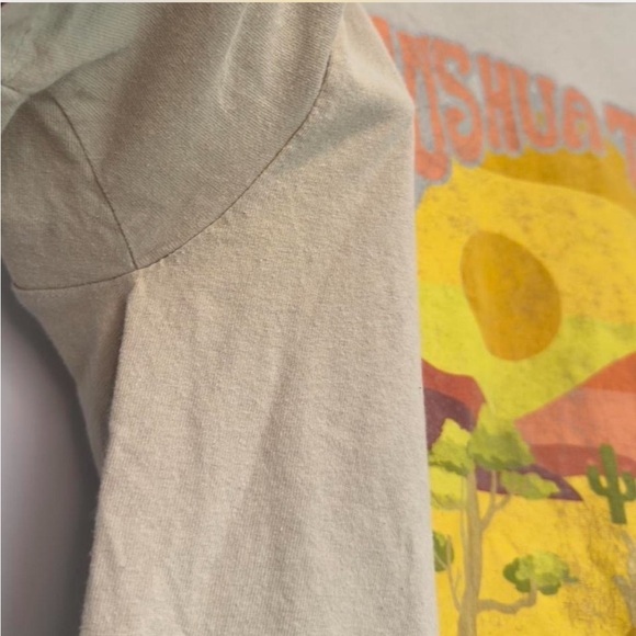 Joshua Tree National Parks Graphic Tee, Unisex Large, Earth Tones Naturecore - Picture 3 of 8